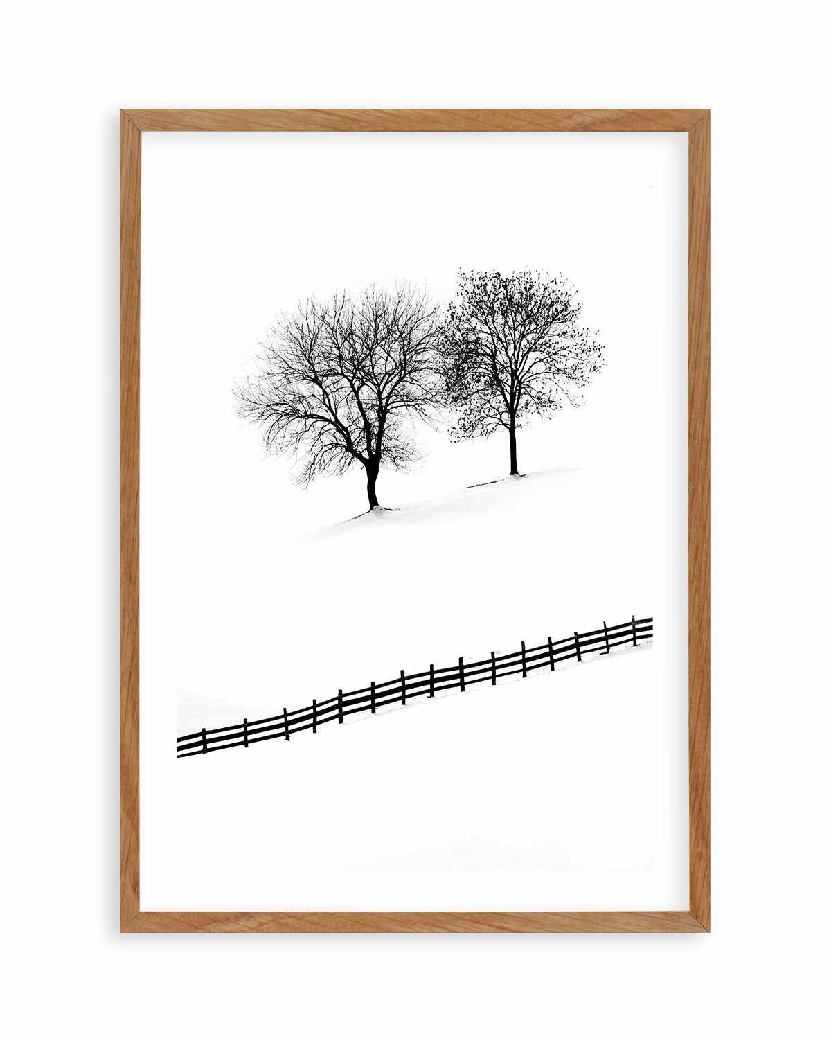 Snow Trees by Mario Stefanelli Art Print