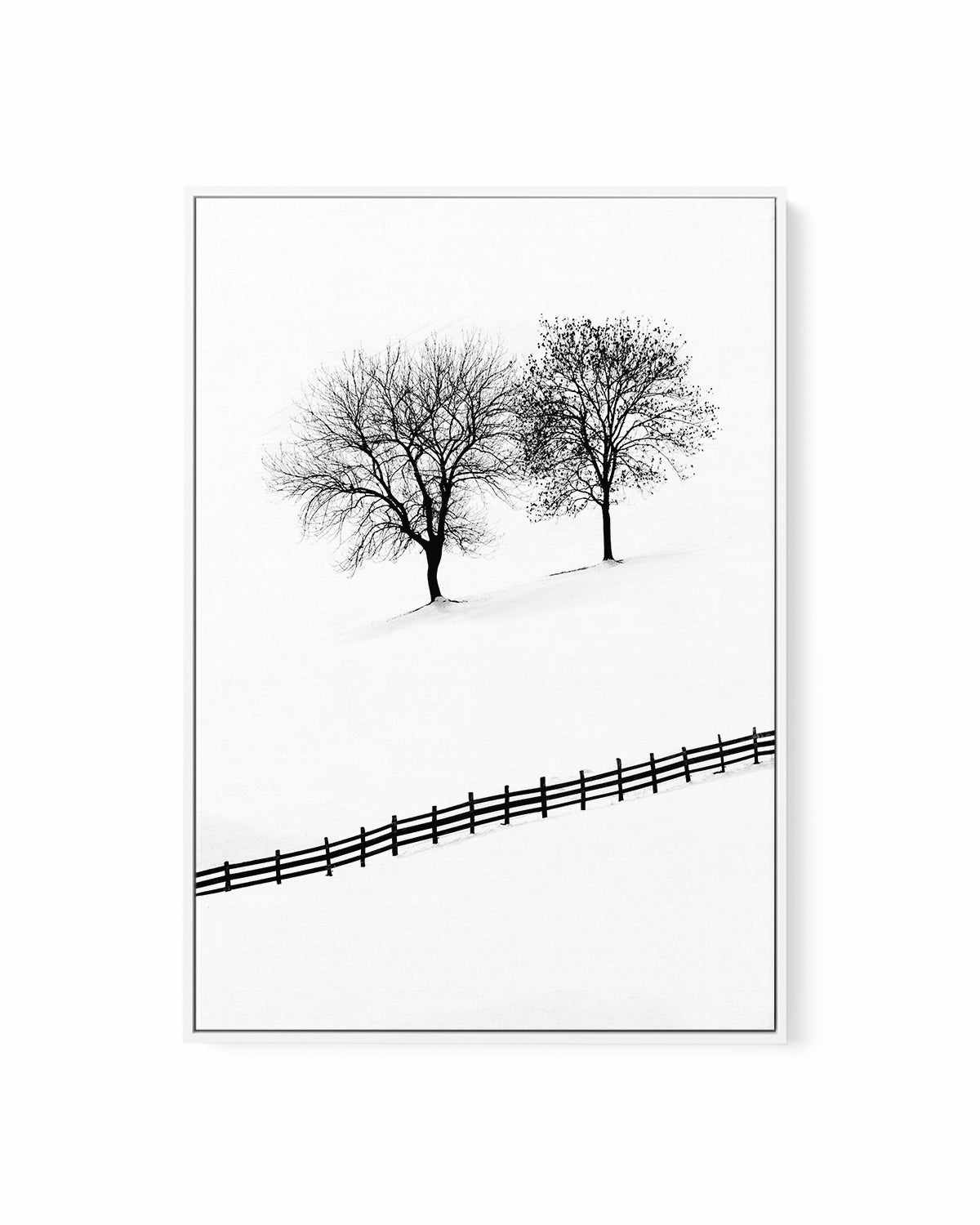 Snow Trees by Mario Stefanelli | Framed Canvas Art Print