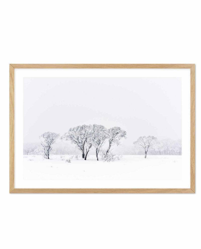 Snowy Gumtrees, Kosciuszko Art Print-PRINT-Olive et Oriel-Olive et Oriel-A5 | 5.8" x 8.3" | 14.8 x 21cm-Oak-With White Border-Buy-Australian-Art-Prints-Online-with-Olive-et-Oriel-Your-Artwork-Specialists-Austrailia-Decorate-With-Coastal-Photo-Wall-Art-Prints-From-Our-Beach-House-Artwork-Collection-Fine-Poster-and-Framed-Artwork