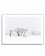 Snowy Gumtrees, Kosciuszko Art Print-PRINT-Olive et Oriel-Olive et Oriel-A5 | 5.8" x 8.3" | 14.8 x 21cm-Unframed Art Print-With White Border-Buy-Australian-Art-Prints-Online-with-Olive-et-Oriel-Your-Artwork-Specialists-Austrailia-Decorate-With-Coastal-Photo-Wall-Art-Prints-From-Our-Beach-House-Artwork-Collection-Fine-Poster-and-Framed-Artwork