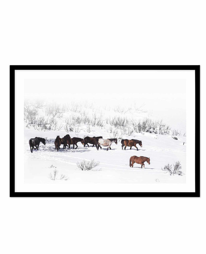 Snowy Mountains Brumbies I Art Print-PRINT-Olive et Oriel-Olive et Oriel-A5 | 5.8" x 8.3" | 14.8 x 21cm-Black-With White Border-Buy-Australian-Art-Prints-Online-with-Olive-et-Oriel-Your-Artwork-Specialists-Austrailia-Decorate-With-Coastal-Photo-Wall-Art-Prints-From-Our-Beach-House-Artwork-Collection-Fine-Poster-and-Framed-Artwork