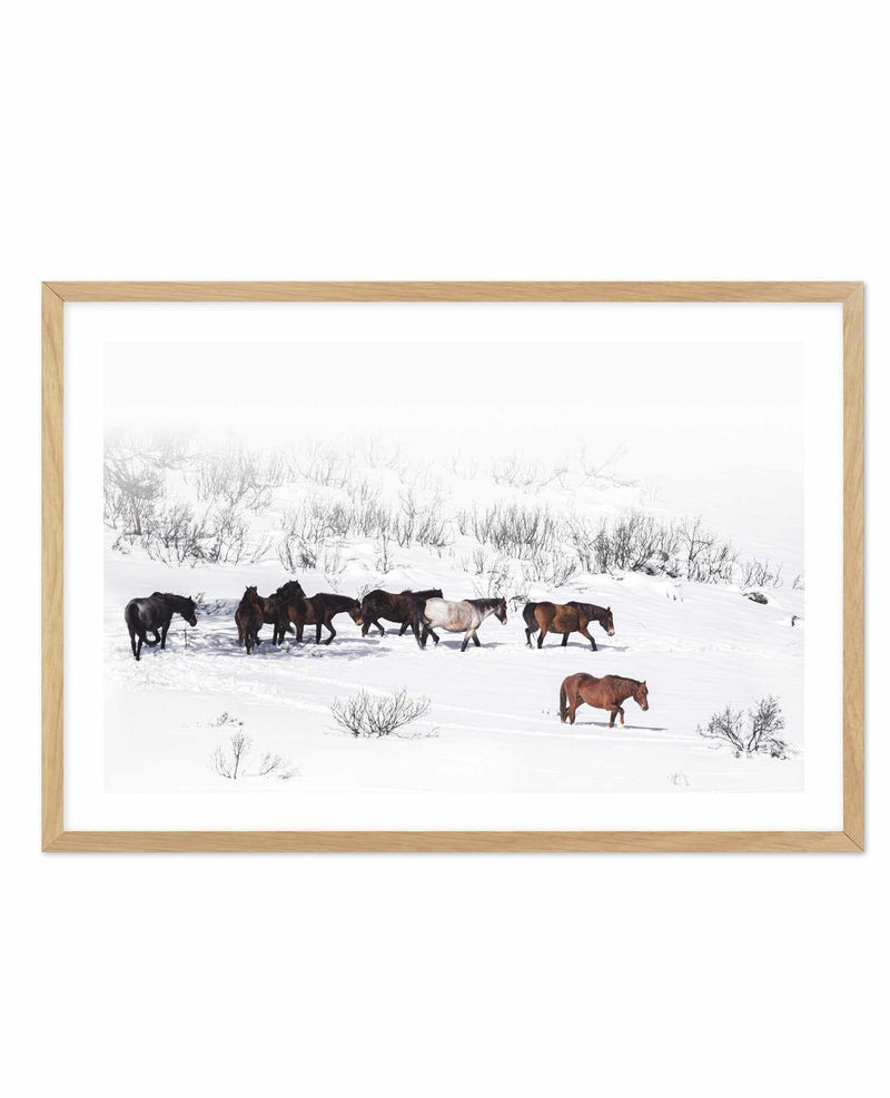 Snowy Mountains Brumbies I Art Print-PRINT-Olive et Oriel-Olive et Oriel-A5 | 5.8" x 8.3" | 14.8 x 21cm-Oak-With White Border-Buy-Australian-Art-Prints-Online-with-Olive-et-Oriel-Your-Artwork-Specialists-Austrailia-Decorate-With-Coastal-Photo-Wall-Art-Prints-From-Our-Beach-House-Artwork-Collection-Fine-Poster-and-Framed-Artwork