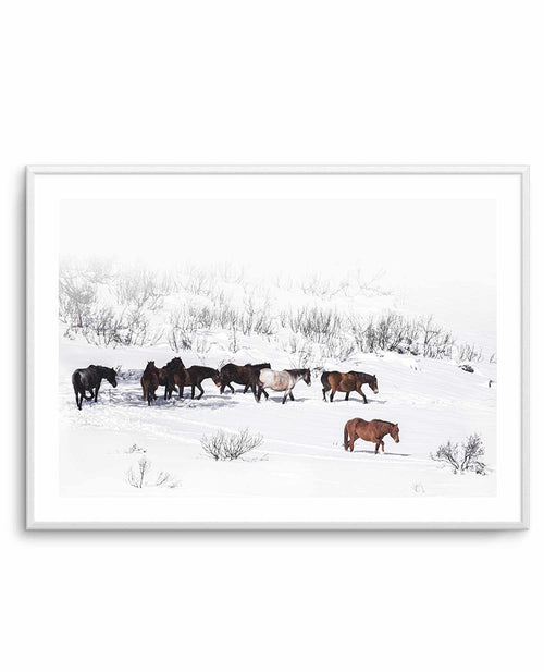 Snowy Mountains Brumbies I Art Print-PRINT-Olive et Oriel-Olive et Oriel-A5 | 5.8" x 8.3" | 14.8 x 21cm-Unframed Art Print-With White Border-Buy-Australian-Art-Prints-Online-with-Olive-et-Oriel-Your-Artwork-Specialists-Austrailia-Decorate-With-Coastal-Photo-Wall-Art-Prints-From-Our-Beach-House-Artwork-Collection-Fine-Poster-and-Framed-Artwork