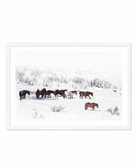 Snowy Mountains Brumbies I Art Print-PRINT-Olive et Oriel-Olive et Oriel-A5 | 5.8" x 8.3" | 14.8 x 21cm-White-With White Border-Buy-Australian-Art-Prints-Online-with-Olive-et-Oriel-Your-Artwork-Specialists-Austrailia-Decorate-With-Coastal-Photo-Wall-Art-Prints-From-Our-Beach-House-Artwork-Collection-Fine-Poster-and-Framed-Artwork