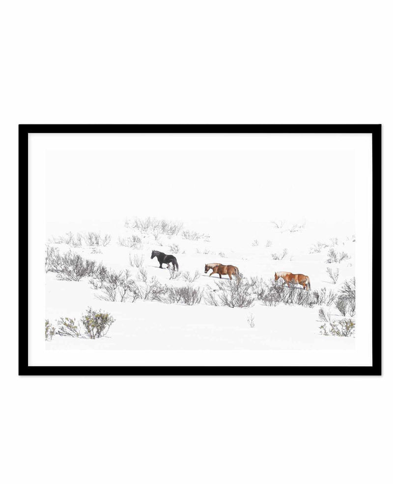 Snowy Mountains Brumbies II Art Print-PRINT-Olive et Oriel-Olive et Oriel-A5 | 5.8" x 8.3" | 14.8 x 21cm-Black-With White Border-Buy-Australian-Art-Prints-Online-with-Olive-et-Oriel-Your-Artwork-Specialists-Austrailia-Decorate-With-Coastal-Photo-Wall-Art-Prints-From-Our-Beach-House-Artwork-Collection-Fine-Poster-and-Framed-Artwork