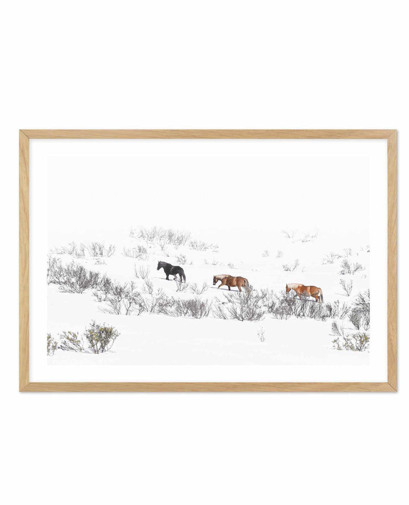 Snowy Mountains Brumbies II Art Print-PRINT-Olive et Oriel-Olive et Oriel-A5 | 5.8" x 8.3" | 14.8 x 21cm-Oak-With White Border-Buy-Australian-Art-Prints-Online-with-Olive-et-Oriel-Your-Artwork-Specialists-Austrailia-Decorate-With-Coastal-Photo-Wall-Art-Prints-From-Our-Beach-House-Artwork-Collection-Fine-Poster-and-Framed-Artwork