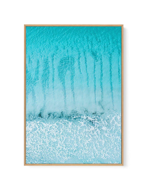 Streaky | Thistle Cove | Framed Canvas-CANVAS-You can shop wall art online with Olive et Oriel for everything from abstract art to fun kids wall art. Our beautiful modern art prints and canvas art are available from large canvas prints to wall art paintings and our proudly Australian artwork collection offers only the highest quality framed large wall art and canvas art Australia - You can buy fashion photography prints or Hampton print posters and paintings on canvas from Olive et Oriel and hav
