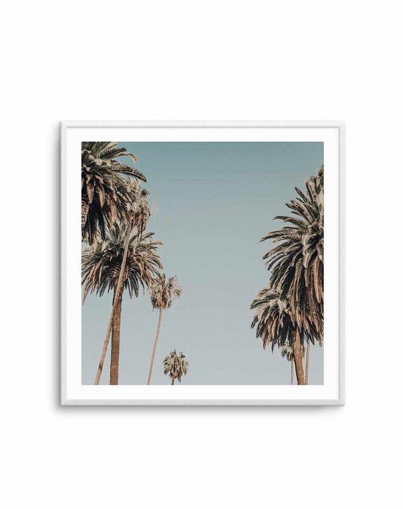 Sunset BLVD Skies | SQ Art Print-PRINT-Olive et Oriel-Olive et Oriel-Buy-Australian-Art-Prints-Online-with-Olive-et-Oriel-Your-Artwork-Specialists-Austrailia-Decorate-With-Coastal-Photo-Wall-Art-Prints-From-Our-Beach-House-Artwork-Collection-Fine-Poster-and-Framed-Artwork