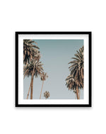 Sunset BLVD Skies | SQ Art Print-PRINT-Olive et Oriel-Olive et Oriel-70x70 cm | 27.5" x 27.5"-Black-With White Border-Buy-Australian-Art-Prints-Online-with-Olive-et-Oriel-Your-Artwork-Specialists-Austrailia-Decorate-With-Coastal-Photo-Wall-Art-Prints-From-Our-Beach-House-Artwork-Collection-Fine-Poster-and-Framed-Artwork