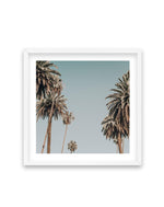 Sunset BLVD Skies | SQ Art Print-PRINT-Olive et Oriel-Olive et Oriel-70x70 cm | 27.5" x 27.5"-White-With White Border-Buy-Australian-Art-Prints-Online-with-Olive-et-Oriel-Your-Artwork-Specialists-Austrailia-Decorate-With-Coastal-Photo-Wall-Art-Prints-From-Our-Beach-House-Artwork-Collection-Fine-Poster-and-Framed-Artwork