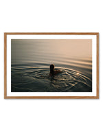 Sunset Swims by Jovani Demetrie Art Print-PRINT-Olive et Oriel-Jovani Demetrie-50x70 cm | 19.6" x 27.5"-Walnut-With White Border-Buy-Australian-Art-Prints-Online-with-Olive-et-Oriel-Your-Artwork-Specialists-Austrailia-Decorate-With-Coastal-Photo-Wall-Art-Prints-From-Our-Beach-House-Artwork-Collection-Fine-Poster-and-Framed-Artwork