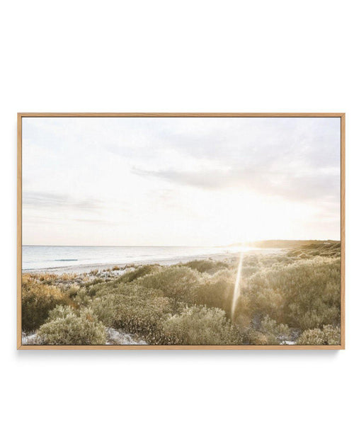 Sunsets at Bunker Bay | Framed Canvas-CANVAS-You can shop wall art online with Olive et Oriel for everything from abstract art to fun kids wall art. Our beautiful modern art prints and canvas art are available from large canvas prints to wall art paintings and our proudly Australian artwork collection offers only the highest quality framed large wall art and canvas art Australia - You can buy fashion photography prints or Hampton print posters and paintings on canvas from Olive et Oriel and have