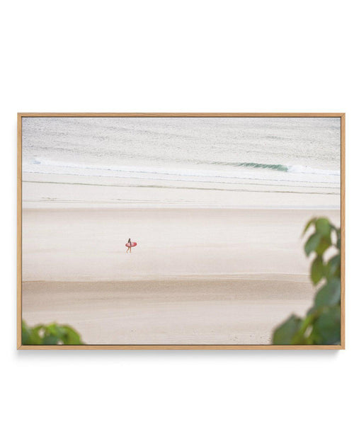 Surfer Girl, The Pass | Framed Canvas-CANVAS-You can shop wall art online with Olive et Oriel for everything from abstract art to fun kids wall art. Our beautiful modern art prints and canvas art are available from large canvas prints to wall art paintings and our proudly Australian artwork collection offers only the highest quality framed large wall art and canvas art Australia - You can buy fashion photography prints or Hampton print posters and paintings on canvas from Olive et Oriel and have