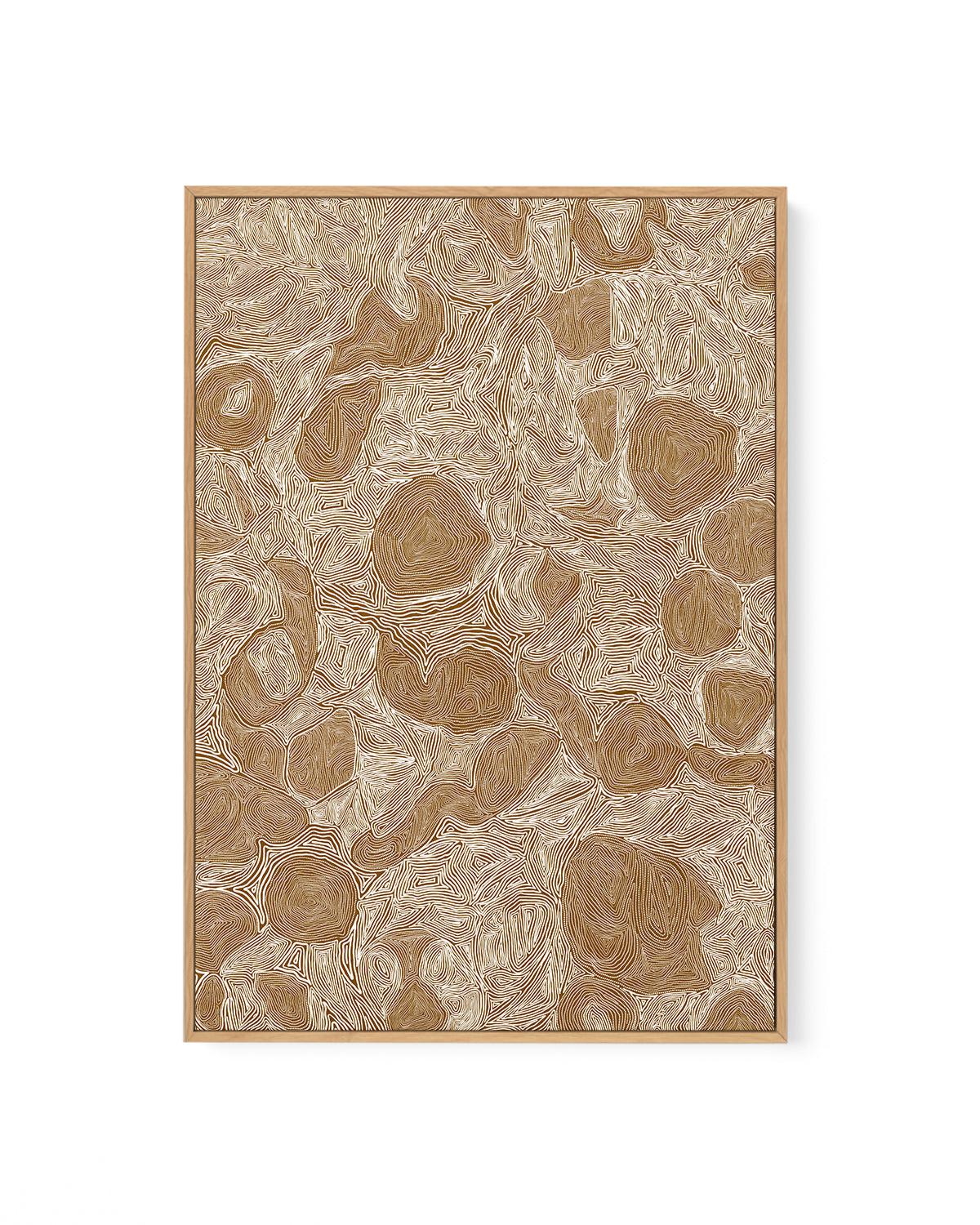 Systems | Brown Ochre by Leah Cummins | Framed Canvas Art Print