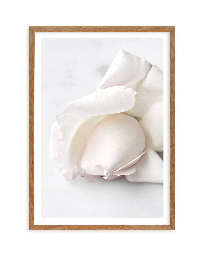 The First Rose Art Print-PRINT-Olive et Oriel-Olive et Oriel-50x70 cm | 19.6" x 27.5"-Walnut-With White Border-Buy-Australian-Art-Prints-Online-with-Olive-et-Oriel-Your-Artwork-Specialists-Austrailia-Decorate-With-Coastal-Photo-Wall-Art-Prints-From-Our-Beach-House-Artwork-Collection-Fine-Poster-and-Framed-Artwork