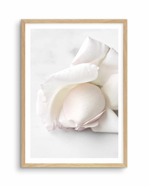 The First Rose Art Print-PRINT-Olive et Oriel-Olive et Oriel-A5 | 5.8" x 8.3" | 14.8 x 21cm-Oak-With White Border-Buy-Australian-Art-Prints-Online-with-Olive-et-Oriel-Your-Artwork-Specialists-Austrailia-Decorate-With-Coastal-Photo-Wall-Art-Prints-From-Our-Beach-House-Artwork-Collection-Fine-Poster-and-Framed-Artwork
