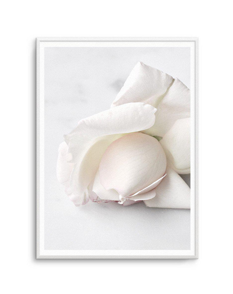 The First Rose Art Print-PRINT-Olive et Oriel-Olive et Oriel-A5 | 5.8" x 8.3" | 14.8 x 21cm-Unframed Art Print-With White Border-Buy-Australian-Art-Prints-Online-with-Olive-et-Oriel-Your-Artwork-Specialists-Austrailia-Decorate-With-Coastal-Photo-Wall-Art-Prints-From-Our-Beach-House-Artwork-Collection-Fine-Poster-and-Framed-Artwork