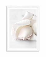 The First Rose Art Print-PRINT-Olive et Oriel-Olive et Oriel-A5 | 5.8" x 8.3" | 14.8 x 21cm-White-With White Border-Buy-Australian-Art-Prints-Online-with-Olive-et-Oriel-Your-Artwork-Specialists-Austrailia-Decorate-With-Coastal-Photo-Wall-Art-Prints-From-Our-Beach-House-Artwork-Collection-Fine-Poster-and-Framed-Artwork