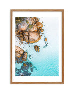 Thistle Cove I | Esperance Art Print-PRINT-Olive et Oriel-Olive et Oriel-50x70 cm | 19.6" x 27.5"-Walnut-With White Border-Buy-Australian-Art-Prints-Online-with-Olive-et-Oriel-Your-Artwork-Specialists-Austrailia-Decorate-With-Coastal-Photo-Wall-Art-Prints-From-Our-Beach-House-Artwork-Collection-Fine-Poster-and-Framed-Artwork