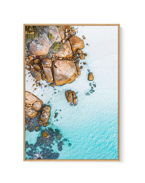 Thistle Cove I | Esperance | Framed Canvas-CANVAS-You can shop wall art online with Olive et Oriel for everything from abstract art to fun kids wall art. Our beautiful modern art prints and canvas art are available from large canvas prints to wall art paintings and our proudly Australian artwork collection offers only the highest quality framed large wall art and canvas art Australia - You can buy fashion photography prints or Hampton print posters and paintings on canvas from Olive et Oriel and