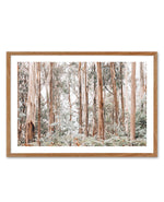 Through the Gum Trees Art Print-PRINT-Olive et Oriel-Olive et Oriel-50x70 cm | 19.6" x 27.5"-Walnut-With White Border-Buy-Australian-Art-Prints-Online-with-Olive-et-Oriel-Your-Artwork-Specialists-Austrailia-Decorate-With-Coastal-Photo-Wall-Art-Prints-From-Our-Beach-House-Artwork-Collection-Fine-Poster-and-Framed-Artwork