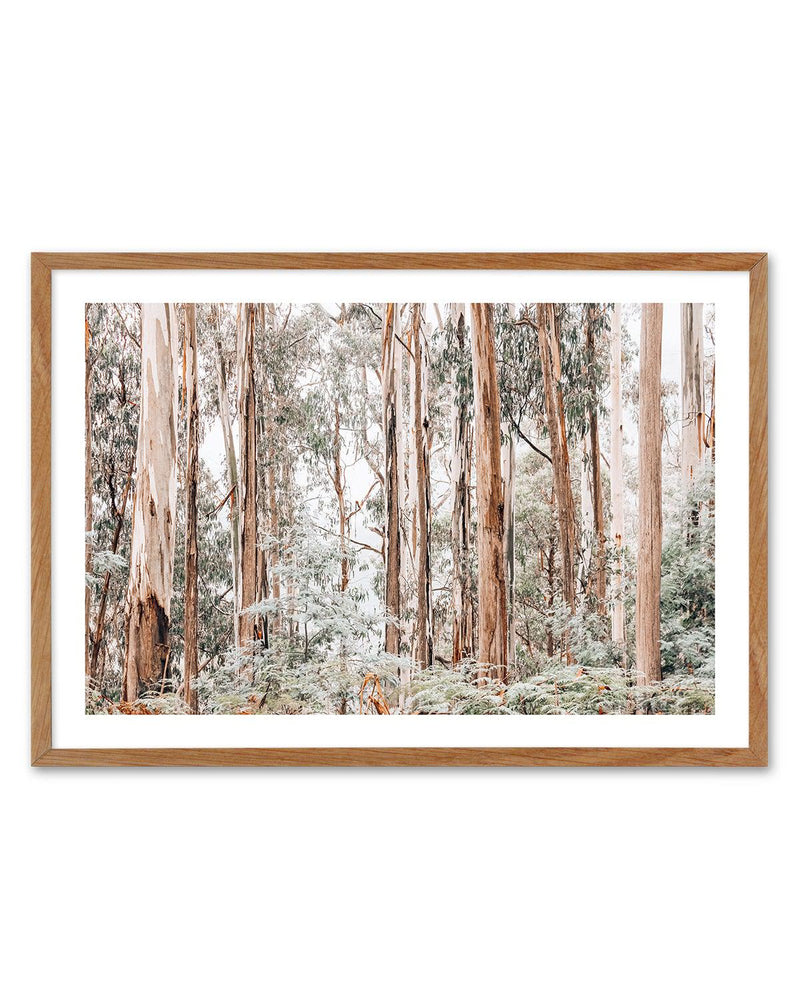Through the Gum Trees Art Print-PRINT-Olive et Oriel-Olive et Oriel-50x70 cm | 19.6" x 27.5"-Walnut-With White Border-Buy-Australian-Art-Prints-Online-with-Olive-et-Oriel-Your-Artwork-Specialists-Austrailia-Decorate-With-Coastal-Photo-Wall-Art-Prints-From-Our-Beach-House-Artwork-Collection-Fine-Poster-and-Framed-Artwork