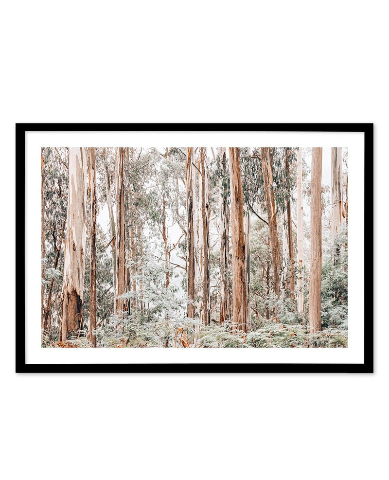 Through the Gum Trees Art Print-PRINT-Olive et Oriel-Olive et Oriel-A5 | 5.8" x 8.3" | 14.8 x 21cm-Black-With White Border-Buy-Australian-Art-Prints-Online-with-Olive-et-Oriel-Your-Artwork-Specialists-Austrailia-Decorate-With-Coastal-Photo-Wall-Art-Prints-From-Our-Beach-House-Artwork-Collection-Fine-Poster-and-Framed-Artwork