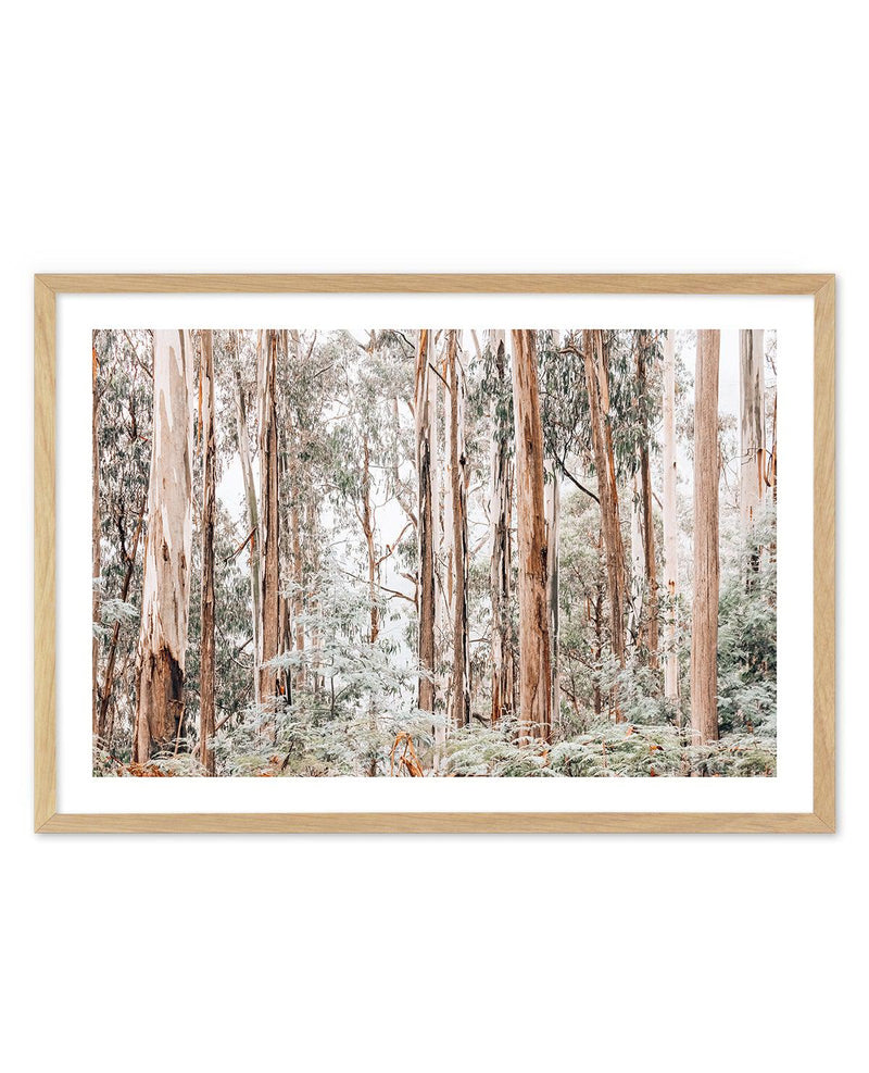 Through the Gum Trees Art Print-PRINT-Olive et Oriel-Olive et Oriel-A5 | 5.8" x 8.3" | 14.8 x 21cm-Oak-With White Border-Buy-Australian-Art-Prints-Online-with-Olive-et-Oriel-Your-Artwork-Specialists-Austrailia-Decorate-With-Coastal-Photo-Wall-Art-Prints-From-Our-Beach-House-Artwork-Collection-Fine-Poster-and-Framed-Artwork