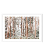 Through the Gum Trees Art Print-PRINT-Olive et Oriel-Olive et Oriel-A5 | 5.8" x 8.3" | 14.8 x 21cm-White-With White Border-Buy-Australian-Art-Prints-Online-with-Olive-et-Oriel-Your-Artwork-Specialists-Austrailia-Decorate-With-Coastal-Photo-Wall-Art-Prints-From-Our-Beach-House-Artwork-Collection-Fine-Poster-and-Framed-Artwork
