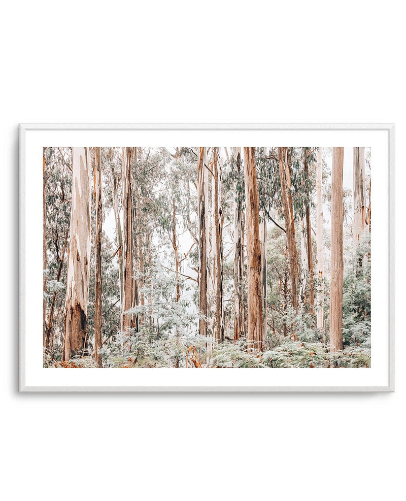 Through the Gum Trees Art Print-PRINT-Olive et Oriel-Olive et Oriel-Buy-Australian-Art-Prints-Online-with-Olive-et-Oriel-Your-Artwork-Specialists-Austrailia-Decorate-With-Coastal-Photo-Wall-Art-Prints-From-Our-Beach-House-Artwork-Collection-Fine-Poster-and-Framed-Artwork
