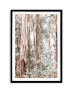 Through the Gum Trees I Art Print | PT-PRINT-Olive et Oriel-Olive et Oriel-A5 | 5.8" x 8.3" | 14.8 x 21cm-Black-With White Border-Buy-Australian-Art-Prints-Online-with-Olive-et-Oriel-Your-Artwork-Specialists-Austrailia-Decorate-With-Coastal-Photo-Wall-Art-Prints-From-Our-Beach-House-Artwork-Collection-Fine-Poster-and-Framed-Artwork