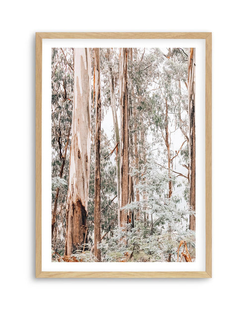 Through the Gum Trees I Art Print | PT-PRINT-Olive et Oriel-Olive et Oriel-A5 | 5.8" x 8.3" | 14.8 x 21cm-Oak-With White Border-Buy-Australian-Art-Prints-Online-with-Olive-et-Oriel-Your-Artwork-Specialists-Austrailia-Decorate-With-Coastal-Photo-Wall-Art-Prints-From-Our-Beach-House-Artwork-Collection-Fine-Poster-and-Framed-Artwork