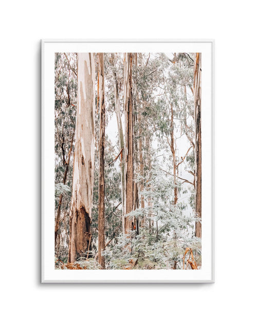Through the Gum Trees I Art Print | PT-PRINT-Olive et Oriel-Olive et Oriel-A5 | 5.8" x 8.3" | 14.8 x 21cm-Unframed Art Print-With White Border-Buy-Australian-Art-Prints-Online-with-Olive-et-Oriel-Your-Artwork-Specialists-Austrailia-Decorate-With-Coastal-Photo-Wall-Art-Prints-From-Our-Beach-House-Artwork-Collection-Fine-Poster-and-Framed-Artwork