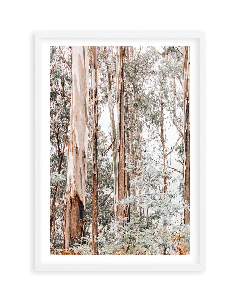 Through the Gum Trees I Art Print | PT-PRINT-Olive et Oriel-Olive et Oriel-A5 | 5.8" x 8.3" | 14.8 x 21cm-White-With White Border-Buy-Australian-Art-Prints-Online-with-Olive-et-Oriel-Your-Artwork-Specialists-Austrailia-Decorate-With-Coastal-Photo-Wall-Art-Prints-From-Our-Beach-House-Artwork-Collection-Fine-Poster-and-Framed-Artwork