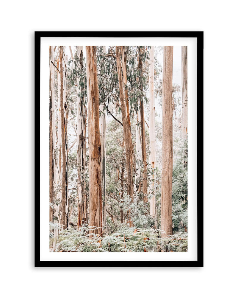 Through the Gum Trees II Art Print | PT-PRINT-Olive et Oriel-Olive et Oriel-A5 | 5.8" x 8.3" | 14.8 x 21cm-Black-With White Border-Buy-Australian-Art-Prints-Online-with-Olive-et-Oriel-Your-Artwork-Specialists-Austrailia-Decorate-With-Coastal-Photo-Wall-Art-Prints-From-Our-Beach-House-Artwork-Collection-Fine-Poster-and-Framed-Artwork