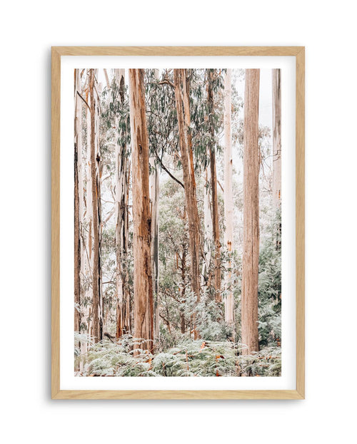Through the Gum Trees II Art Print | PT-PRINT-Olive et Oriel-Olive et Oriel-A5 | 5.8" x 8.3" | 14.8 x 21cm-Oak-With White Border-Buy-Australian-Art-Prints-Online-with-Olive-et-Oriel-Your-Artwork-Specialists-Austrailia-Decorate-With-Coastal-Photo-Wall-Art-Prints-From-Our-Beach-House-Artwork-Collection-Fine-Poster-and-Framed-Artwork