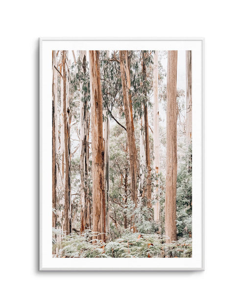 Through the Gum Trees II Art Print | PT-PRINT-Olive et Oriel-Olive et Oriel-A5 | 5.8" x 8.3" | 14.8 x 21cm-Unframed Art Print-With White Border-Buy-Australian-Art-Prints-Online-with-Olive-et-Oriel-Your-Artwork-Specialists-Austrailia-Decorate-With-Coastal-Photo-Wall-Art-Prints-From-Our-Beach-House-Artwork-Collection-Fine-Poster-and-Framed-Artwork
