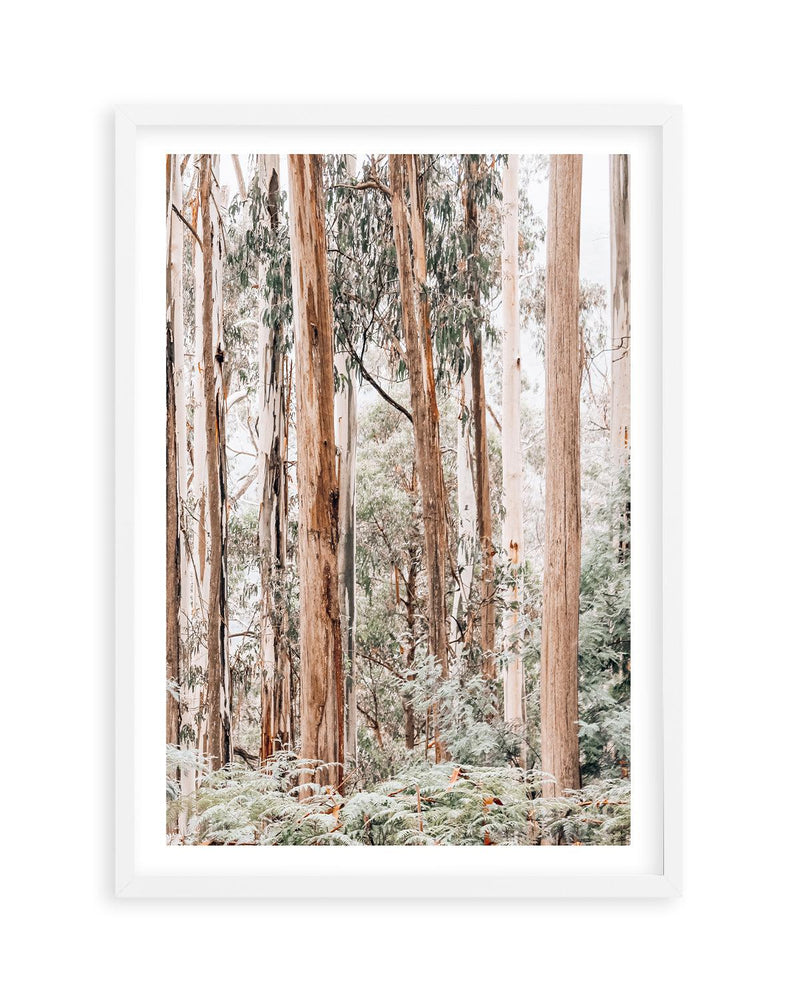 Through the Gum Trees II Art Print | PT-PRINT-Olive et Oriel-Olive et Oriel-A5 | 5.8" x 8.3" | 14.8 x 21cm-White-With White Border-Buy-Australian-Art-Prints-Online-with-Olive-et-Oriel-Your-Artwork-Specialists-Austrailia-Decorate-With-Coastal-Photo-Wall-Art-Prints-From-Our-Beach-House-Artwork-Collection-Fine-Poster-and-Framed-Artwork