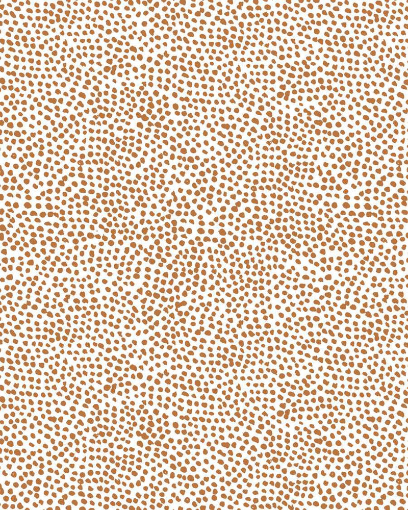 Tiny Dots Wallpaper in Terra-Wallpaper-Buy Kids Removable Wallpaper Online Our Custom Made Children‚àö¬¢‚Äö√á¬®‚Äö√ë¬¢s Wallpapers Are A Fun Way To Decorate And Enhance Boys Bedroom Decor And Girls Bedrooms They Are An Amazing Addition To Your Kids Bedroom Walls Our Collection of Kids Wallpaper Is Sure To Transform Your Kids Rooms Interior Style From Pink Wallpaper To Dinosaur Wallpaper Even Marble Wallpapers For Teen Boys Shop Peel And Stick Wallpaper Online Today With Olive et Oriel