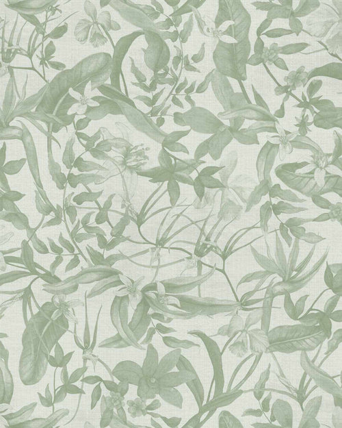 Tropical Bloom in Sage Green Wallpaper-Wallpaper-Buy Australian Removable Wallpaper Now Sage Green Wallpaper Peel And Stick Wallpaper Online At Olive et Oriel Custom Made Wallpapers Wall Papers Decorate Your Bedroom Living Room Kids Room or Commercial Interior