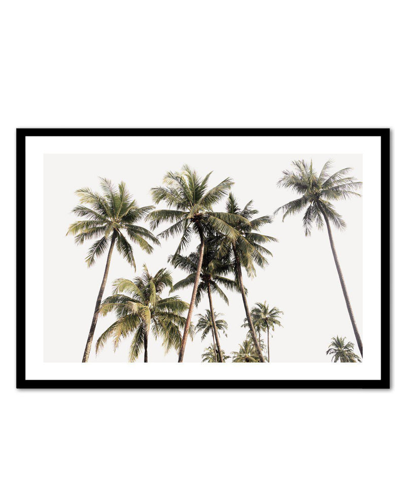 Tropical Palm Trees LS Art Print-PRINT-Olive et Oriel-Olive et Oriel-A5 | 5.8" x 8.3" | 14.8 x 21cm-Black-With White Border-Buy-Australian-Art-Prints-Online-with-Olive-et-Oriel-Your-Artwork-Specialists-Austrailia-Decorate-With-Coastal-Photo-Wall-Art-Prints-From-Our-Beach-House-Artwork-Collection-Fine-Poster-and-Framed-Artwork