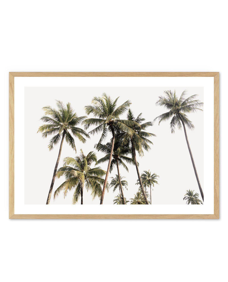 Tropical Palm Trees LS Art Print-PRINT-Olive et Oriel-Olive et Oriel-A5 | 5.8" x 8.3" | 14.8 x 21cm-Oak-With White Border-Buy-Australian-Art-Prints-Online-with-Olive-et-Oriel-Your-Artwork-Specialists-Austrailia-Decorate-With-Coastal-Photo-Wall-Art-Prints-From-Our-Beach-House-Artwork-Collection-Fine-Poster-and-Framed-Artwork