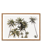 Tropical Palm Trees LS Art Print-PRINT-Olive et Oriel-Olive et Oriel-Buy-Australian-Art-Prints-Online-with-Olive-et-Oriel-Your-Artwork-Specialists-Austrailia-Decorate-With-Coastal-Photo-Wall-Art-Prints-From-Our-Beach-House-Artwork-Collection-Fine-Poster-and-Framed-Artwork