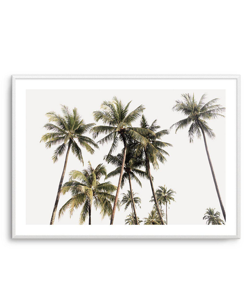 Tropical Palm Trees LS Art Print-PRINT-Olive et Oriel-Olive et Oriel-A5 | 5.8" x 8.3" | 14.8 x 21cm-Unframed Art Print-With White Border-Buy-Australian-Art-Prints-Online-with-Olive-et-Oriel-Your-Artwork-Specialists-Austrailia-Decorate-With-Coastal-Photo-Wall-Art-Prints-From-Our-Beach-House-Artwork-Collection-Fine-Poster-and-Framed-Artwork