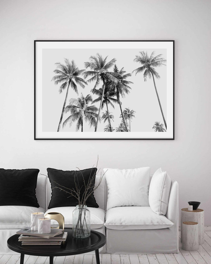 Tropical Palms B&W Art Print-PRINT-Olive et Oriel-Olive et Oriel-Buy-Australian-Art-Prints-Online-with-Olive-et-Oriel-Your-Artwork-Specialists-Austrailia-Decorate-With-Coastal-Photo-Wall-Art-Prints-From-Our-Beach-House-Artwork-Collection-Fine-Poster-and-Framed-Artwork