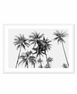 Tropical Palms B&W Art Print-PRINT-Olive et Oriel-Olive et Oriel-A5 | 5.8" x 8.3" | 14.8 x 21cm-White-With White Border-Buy-Australian-Art-Prints-Online-with-Olive-et-Oriel-Your-Artwork-Specialists-Austrailia-Decorate-With-Coastal-Photo-Wall-Art-Prints-From-Our-Beach-House-Artwork-Collection-Fine-Poster-and-Framed-Artwork