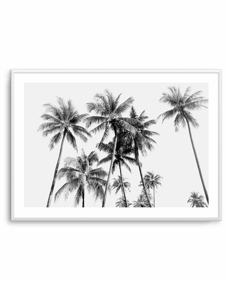 Tropical Palms B&W Art Print-PRINT-Olive et Oriel-Olive et Oriel-A5 | 5.8" x 8.3" | 14.8 x 21cm-Unframed Art Print-With White Border-Buy-Australian-Art-Prints-Online-with-Olive-et-Oriel-Your-Artwork-Specialists-Austrailia-Decorate-With-Coastal-Photo-Wall-Art-Prints-From-Our-Beach-House-Artwork-Collection-Fine-Poster-and-Framed-Artwork