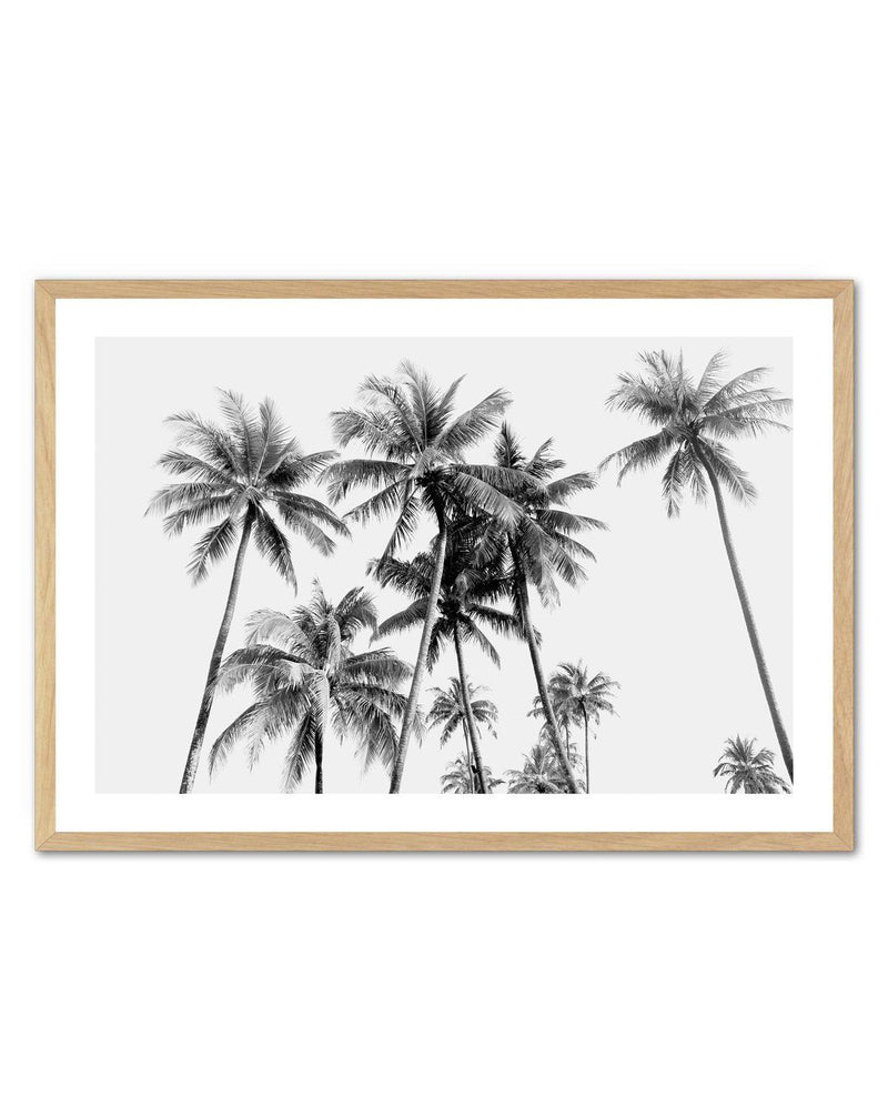 Tropical Palms B&W Art Print-PRINT-Olive et Oriel-Olive et Oriel-A5 | 5.8" x 8.3" | 14.8 x 21cm-Oak-With White Border-Buy-Australian-Art-Prints-Online-with-Olive-et-Oriel-Your-Artwork-Specialists-Austrailia-Decorate-With-Coastal-Photo-Wall-Art-Prints-From-Our-Beach-House-Artwork-Collection-Fine-Poster-and-Framed-Artwork