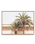 Twin Palms | Framed Canvas-Shop Australian Art Prints Online with Olive et Oriel - Our collection of Moroccan art prints offer unique wall art including moroccan arches and pink morocco doors of marrakech - this collection will add soft feminine colour to your walls and some may say bohemian style. These traditional morocco landscape photography includes desert scenes of palm trees and camel art prints - there is art on canvas and extra large wall art with fast, free shipping across Australia. U