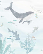 Under the Sea Wallpaper